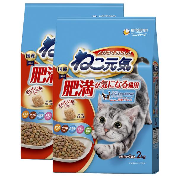 キャットフード　ねこ元気　肥満が気になる猫用　２．０ｋｇ×２袋