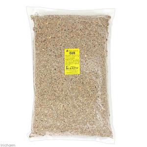 キクスイ　赤オカメ・ラブバード専科　ＬＬ　４．５ｋｇ　皮付き｜チャーム charm ヤフー店