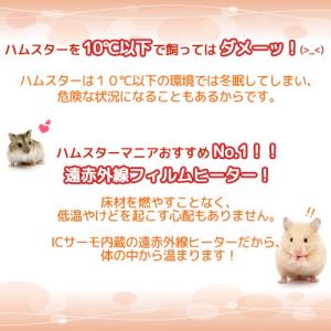 遠赤外線 ペット用 フィルムヒーター XSII...の詳細画像3