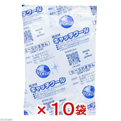 キャッチクール（保冷剤）　ＣＨ−１００ＰＬ×１０袋