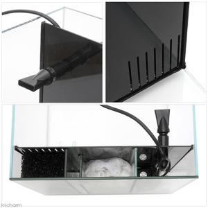 アクアシステム 水槽セット 背面ろ過水槽 スプ...の詳細画像3