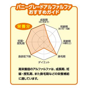 マルカン バニーグレードアルファルファ 500...の詳細画像2