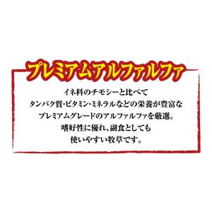 マルカン バニーグレードアルファルファ 500...の詳細画像3