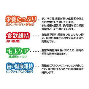 マルカン バニーグレードアルファルファ 500...の詳細画像4