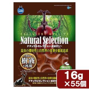 アウトレット品　マルカン　ナチュラルセレクション　昆虫ゼリー　５５（１６ｇ×５５個）　訳あり