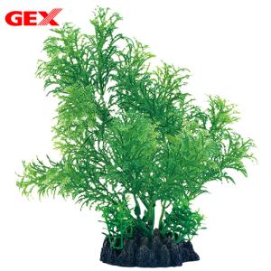 ＧＥＸ　癒し水景　広がるカボンバ