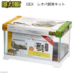 チャーム（charm） フトアゴヒゲトカゲ飼育セット （90cmケージ