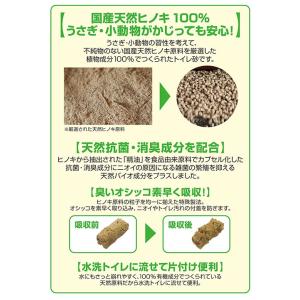 GEX ラビレット ヒノキア消臭砂DX 5.5...の詳細画像2