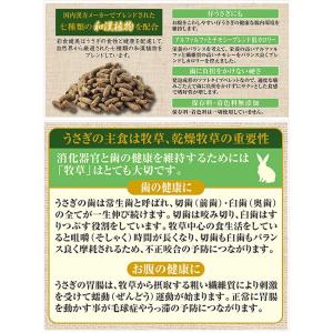 GEX 彩食健美 7種ブレンド 900g うさ...の詳細画像2