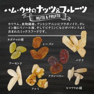 スドー ハム・ウサのナッツ&フルーツ 80g ...の詳細画像1
