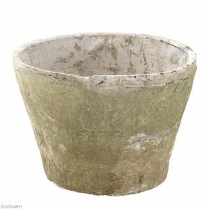 アンティークポット　直径２０×１５ｃｍ　白　モスポット　スタンダード