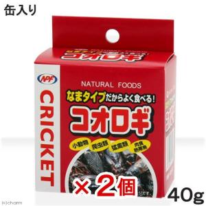 コオロギ　ＮＰＦ　コオロギ（缶入り）　４０ｇ×２缶　両生類・爬虫類　ハリネズミ　フード　餌　エサ　缶詰
