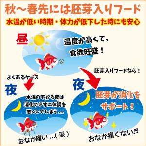 キョーリン らんちうディスク 良消化 900g...の詳細画像2