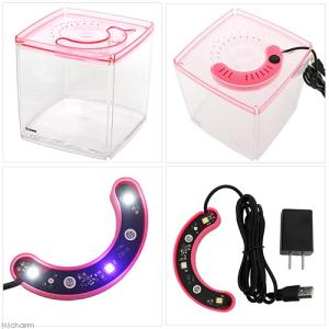 アウトレット品 ゼンスイ ライティキューブ ピ...の詳細画像1