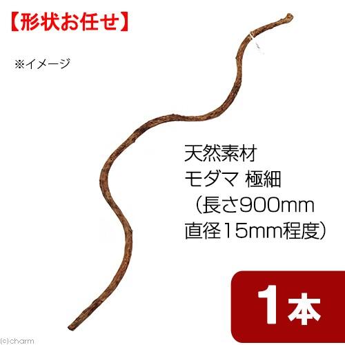 天然素材　形状お任せ　モダマ　極細　ＳＳ９０　（長さ９００ｍｍ　直径１５ｍｍ以下）　スパイラルパーチ