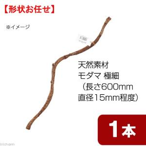 三晃商会 スパイラルパーチ L60 鳥 止まり木 : チャーム charm