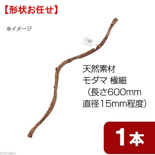 天然素材　形状お任せ　モダマ　極細　ＳＳ６０　（長さ６００ｍｍ　直径１５ｍｍ以下）　スパイラルパーチ