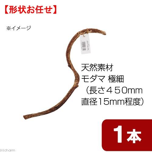 天然素材　形状お任せ　モダマ　極細　ＳＳ４５　（長さ４５０ｍｍ　直径１５ｍｍ以下）　スパイラルパーチ