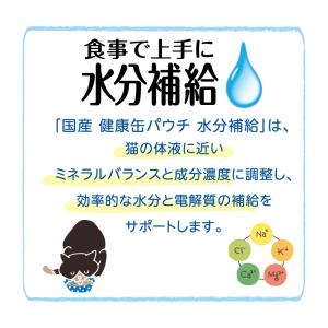 アイシア 国産健康缶パウチ 水分補給 鰹ペース...の詳細画像3