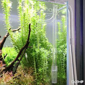 様々なフィルターに使用可能! クリアストレーナ...の詳細画像1