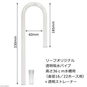 Leaf Corp 様々なフィルターに使用可能！ 吸水パイプ クリア 高さ