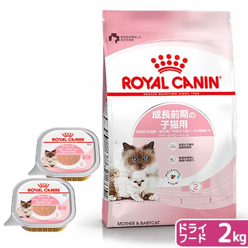 ロイヤルカナン　猫　成長前期の子猫用ドライウェットセット　ドライ２ｋｇ　ジップ付＋ウェット１００ｇ×...