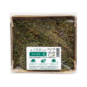 インスタント苔　スナゴケＳ　外径１４ｃｍ×１２ｃｍ