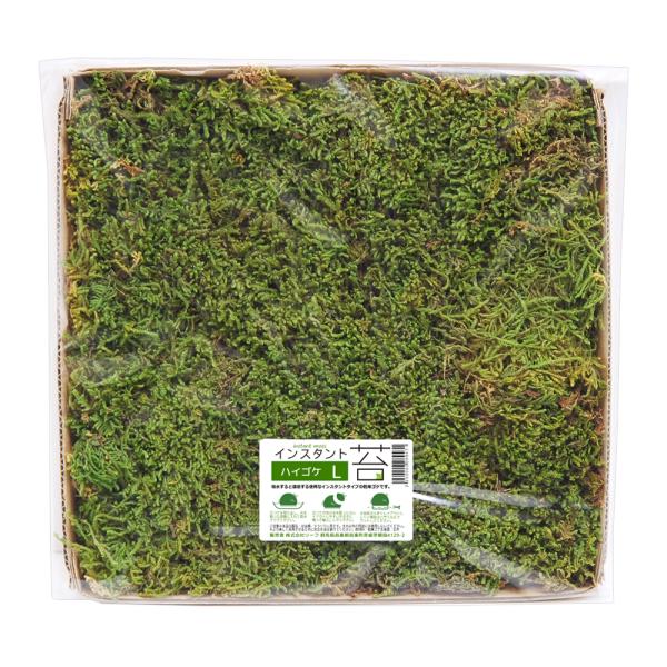 インスタント苔　ハイゴケＬ　外径２５ｃｍ×２５ｃｍ　ドライタイプ　乾燥ゴケ