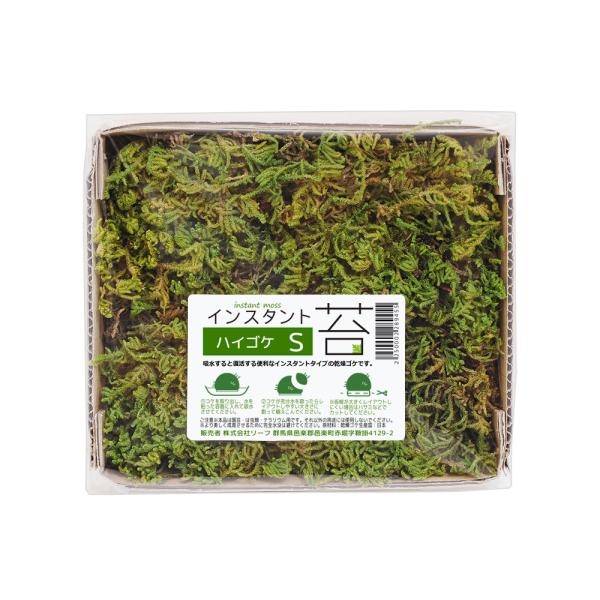 インスタント苔　ハイゴケＳ　外径１４ｃｍ×１２ｃｍ　ドライタイプ　乾燥ゴケ