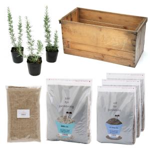 栽培セット 水耕栽培 ガーデニング チャーム Charm Paypayモール店 通販 Paypayモール