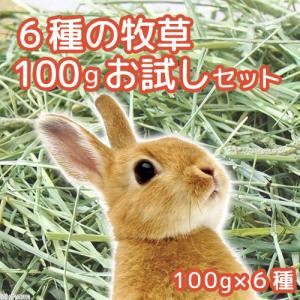 6種類の牧草お試しセットB(100g×6種類)...の詳細画像3
