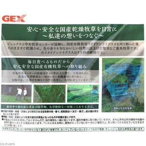 GEX 旬牧草 イタリアンライグラス 40g ...の詳細画像1