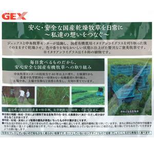 GEX 旬牧草 イタリアンライグラス 120g...の詳細画像1