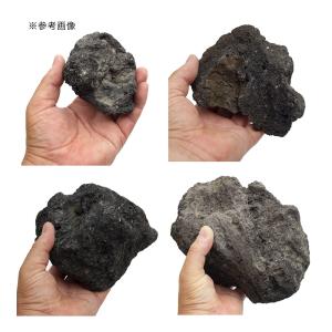 黒溶岩石 5kg 約5〜20cm 45cm水槽...の詳細画像2
