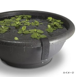 スドー 水位の見張り番(大)の詳細画像2