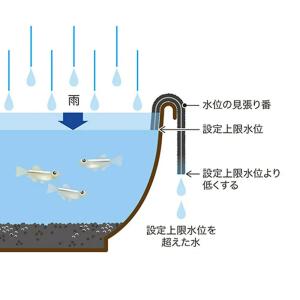 スドー 水位の見張り番(大)の詳細画像3