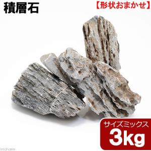 チャーム（charm） 褐光石 10kg 約5〜30cm 60cm水槽向け