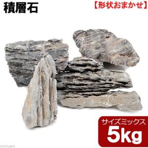 形状お任せ　積層石　サイズミックス　５ｋｇ　４５ｃｍ水槽向け　アクアリウム　レイアウト素材｜chanet