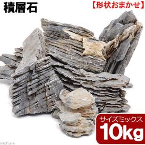 形状お任せ　積層石　サイズミックス　１０ｋｇ　６０ｃｍ水槽向け　アクアリウム　レイアウト素材｜chanet