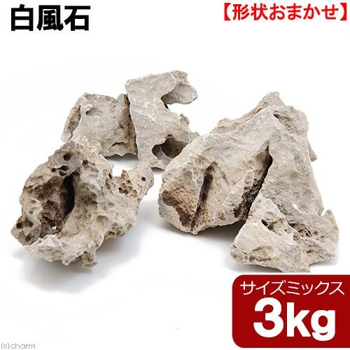 白風石　３ｋｇ　約５〜２０ｃｍ　３０ｃｍ水槽向け　形状お任せ　アクアリウム　レイアウト素材