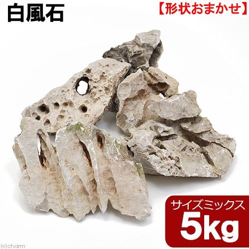白風石　５ｋｇ　約５〜２０ｃｍ　４５ｃｍ水槽向け　形状お任せ　アクアリウム　レイアウト素材