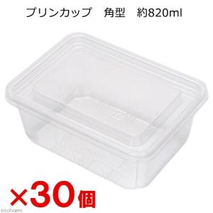 プリンカップ 角型 約820ml×30個 苔 水...の商品画像