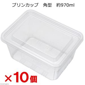プリンカップ 角型 約970ml×10個 苔 水...の商品画像