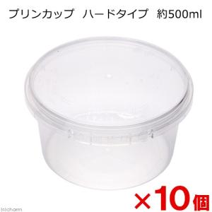 QBOX−30 （340×220×140mm） 1個 クワガタ