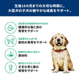 ドッグフード サイエンスダイエット パピー 1...の詳細画像2