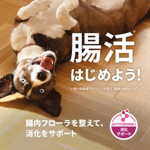 ドッグフード サイエンスダイエット パピー 1...の詳細画像3