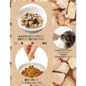 ペティオ 素材そのまま フリーズドライ For...の詳細画像2