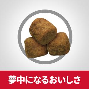 ドッグフード サイエンスダイエット アダルト ...の詳細画像5