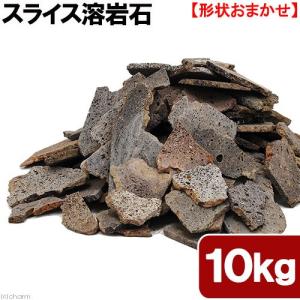 形状お任せ　スライス溶岩石　サイズミックス　１０ｋｇ　６０ｃｍ水槽向け　アクアリウム　レイアウト素材｜chanet