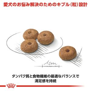 ロイヤルカナン 避妊・去勢犬用 小型犬用 ミニ...の詳細画像4